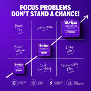 Mushroom Focus Strips – solution for brain fog, distractions, mental fatigue, and task switching with Lion's Mane, Cordyceps, and Shiitake for enhanced focus, mental clarity, sustained energy, and peak productivity