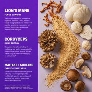 Mushroom Focus Strips benefits – Lion's Mane supports focus and cognitive wellness, Cordyceps supports daily energy and stamina, Maitake and Shiitake support overall wellness and balance