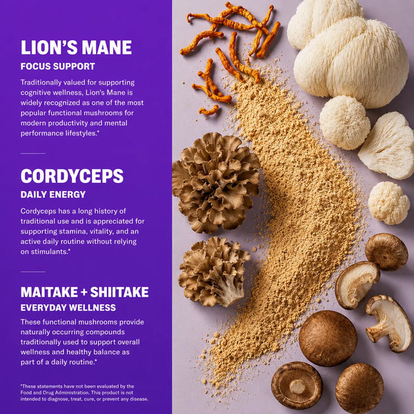 Mushroom Focus Strips benefits – Lion's Mane supports focus and cognitive wellness, Cordyceps supports daily energy and stamina, Maitake and Shiitake support overall wellness and balance