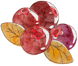 CRANBERRY FLAVOR