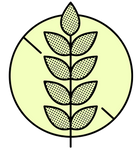Gluten-free