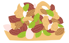 MEDIUM CHAIN TRIGLYCERIDES