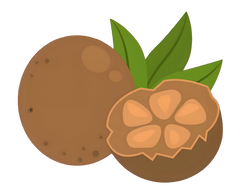 MONK FRUIT EXTRACT