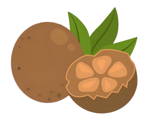 MONK FRUIT EXTRACT