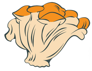 Maitake