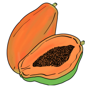 PAPAIN