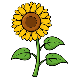 SUNFLOWER LECITHIN