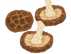 Shiitake