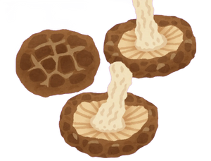 Shiitake