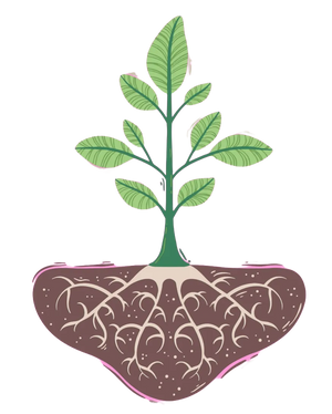 VALERIAN ROOT EXTRACT