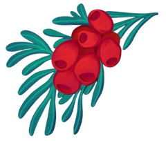Malic Acid