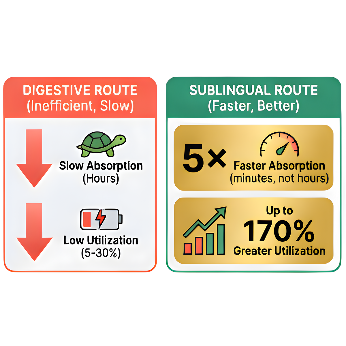 Improved Bioavailability