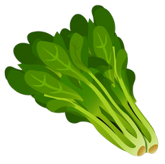 Cellulose
