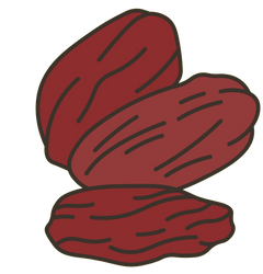 PHOENIX DACTYLIFERA