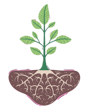 VALERIAN ROOT EXTRACT