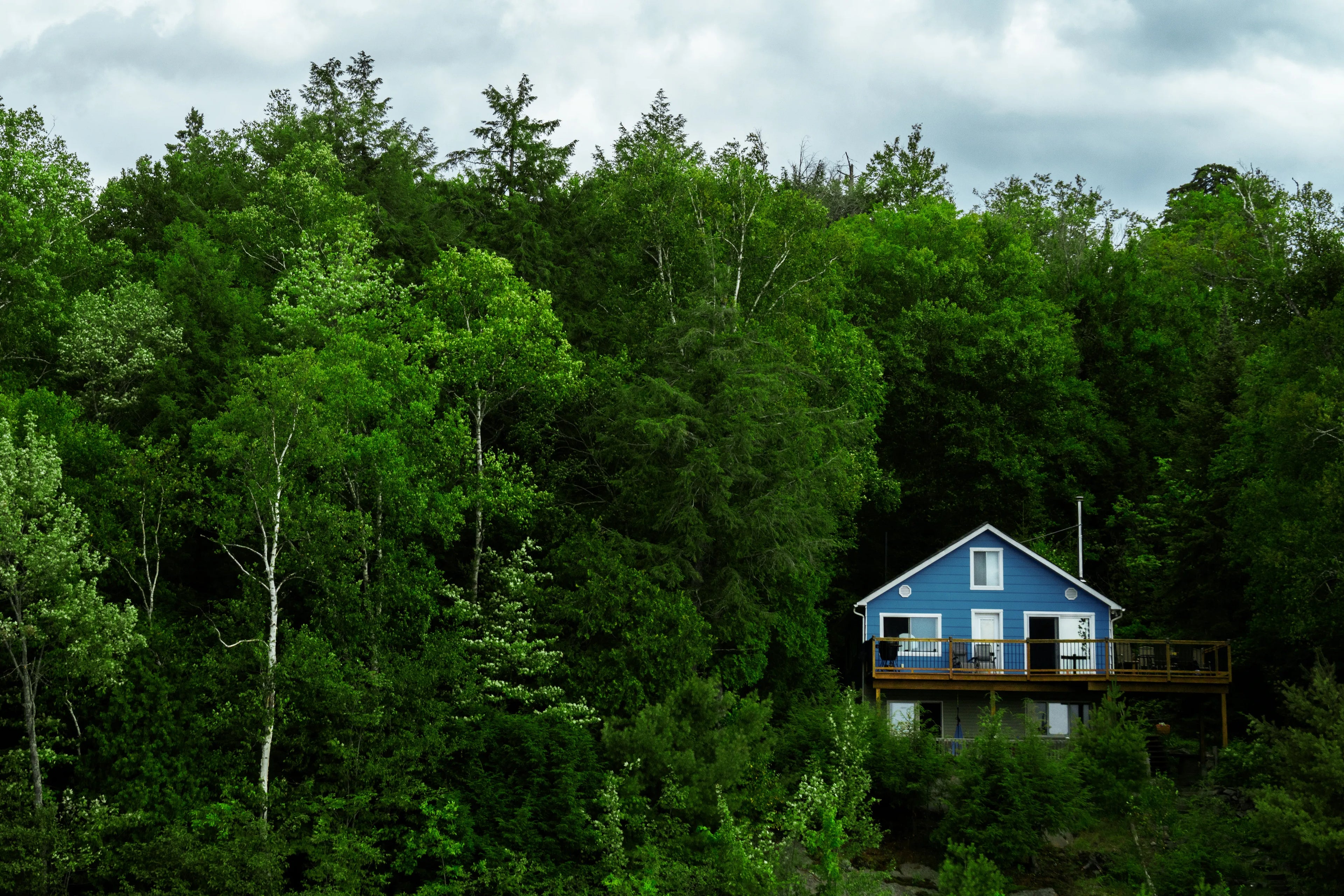 Blue house nestled among tall trees on a cloudy day