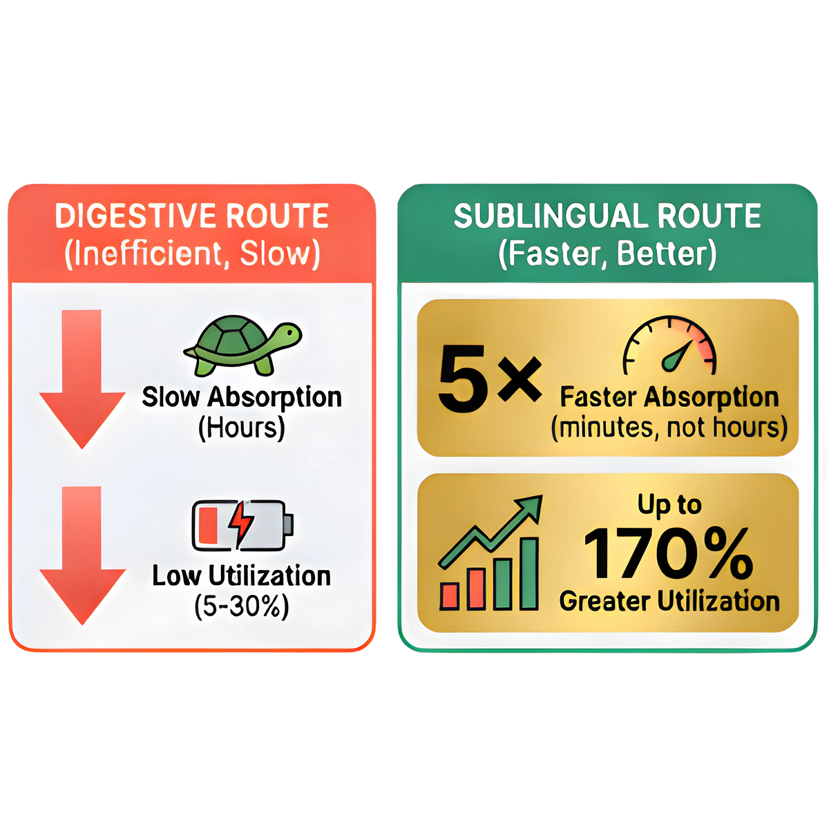 Improved Bioavailability