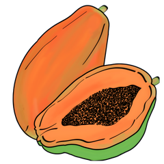 PAPAIN