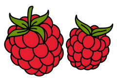 RASPBERRY FLAVOR